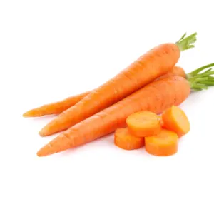 Carrot