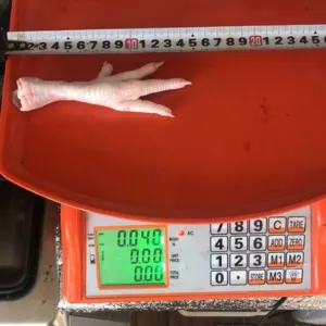Chicken ( Feet, Njw, Paw) - Image 2