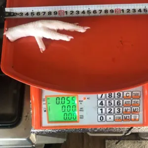 Chicken ( Feet, Njw, Paw) - Image 3