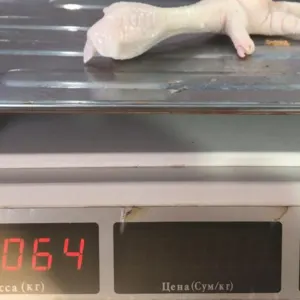 Chicken ( Feet, Njw, Paw) - Image 4