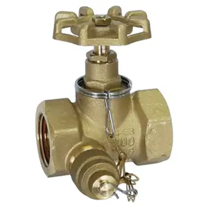 Transformer oil drain valve with sampler 1" NPT - Image 2