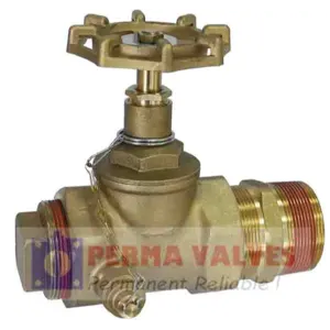 Brass drain valve with sampler 2" NPT by Hengyang Perma Valves Co.,Ltd