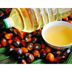 Palm oil by GTF CAPITAL CORPORATION