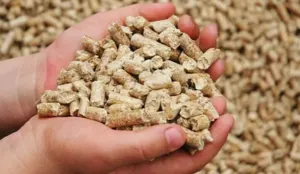 Pellet by Alkan Group
