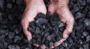 COAL by Alkan Group