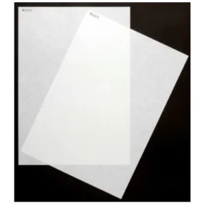 Medicinal Paper by Union Paper Corporation