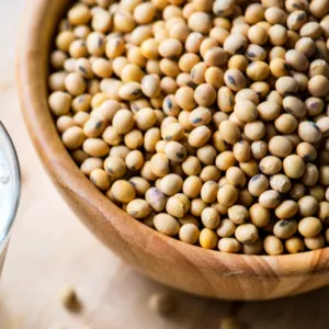 Soya Bean Non-Gmo (South African) by Asia Africa Global Alliance Pte Ltd