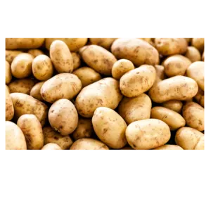 Potato