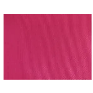 Nylon Fabric - PTN001 by Phenom Textile Co., Ltd.