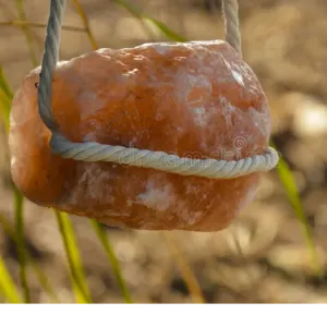Natural Licking Salt by AL faisal international traders