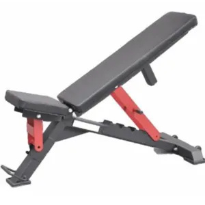 Adjustable Bench
