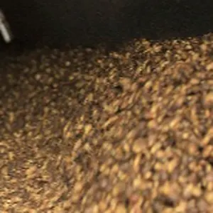 Biomass Fuel