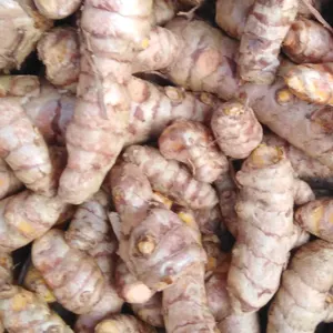 Turmeric