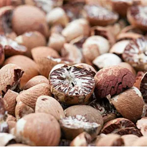 Betel Nut