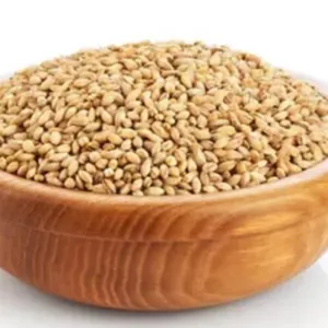 Wheat - Image 4