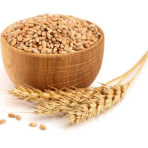 Wheat