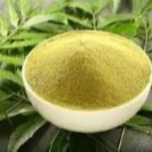 Organic Neem Leaves Powder