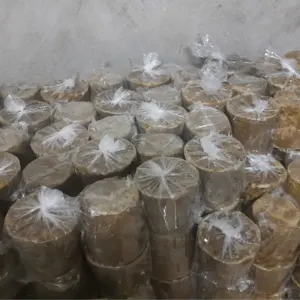 Organic Jaggery by AYUSH ASSOCIATES