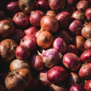 Fresh Onion
