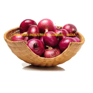 Onion - Image 3