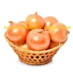 Onion - Image 4