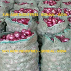 Onion by SUN AGRI INDUSTRIES