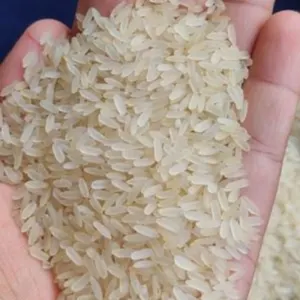 Irri-6 Long Grain  Rice White and Parboiled - Image 2