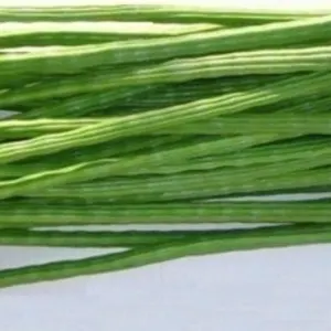 Drumsticks - Image 2