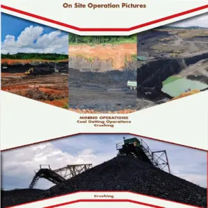 Coal by Pt Aman Berkat Utama