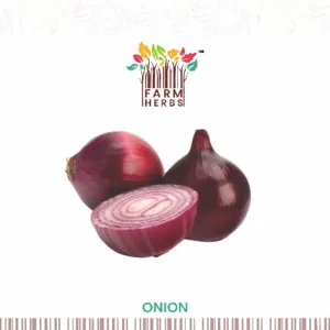 Onion by FarmHerbs Producer Company Limited