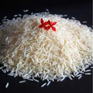 Pusa White Steam Basmati Rice