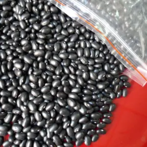 Organic Black Kidney Beans - Image 2