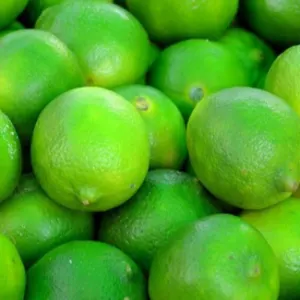 Lemon by Rudravir Exim
