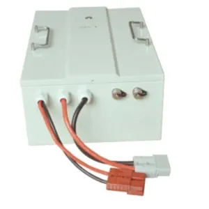 48V100ah Lithium Ion Battery with BMS for Robots, Agv, Golf Carts by PACE ELECTRONICS TECH (HK) CO LIMITED