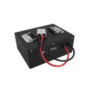 60V50ah Li-ion Battery with BMS for Golf Cart, RV, EV by PACE ELECTRONICS TECH (HK) CO LIMITED