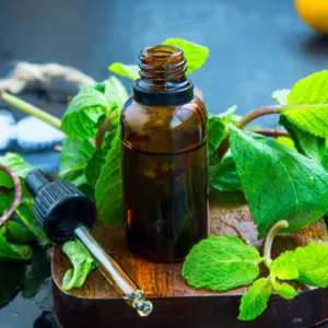 peppermint oil - Image 2