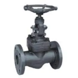 GLOBE VALVE - FLANGED END / FORGED STEEL by SAMAYA ENTERPRISE