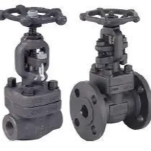 GATE VALVE - FLANGED END / FORGED STEEL by SAMAYA ENTERPRISE