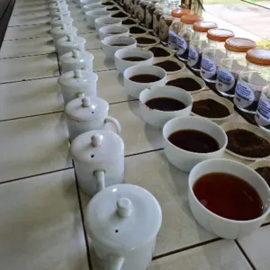 Tea Bag Retail - Image 4