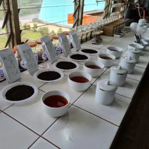 Black Tea Bulk - Image 5