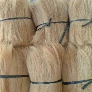 Cocobristle / Bristle Fiber - Image 2