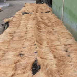 Cocobristle / Bristle Fiber - Image 4