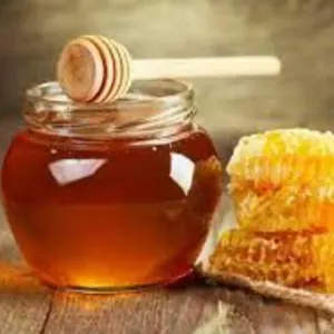 Honey by ProActiveAnt