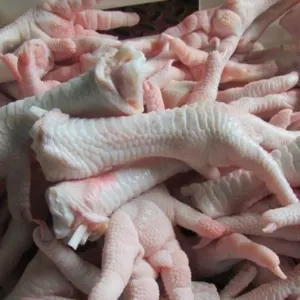 Chicken,Halal Chicken Feet / Frozen Chicken Paws Brazil / Fresh chicken wings by Impex Trading (Pty)Ltd