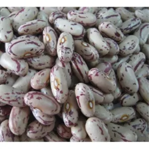 Light Speckled Kidney beans by Impex Trading (Pty)Ltd