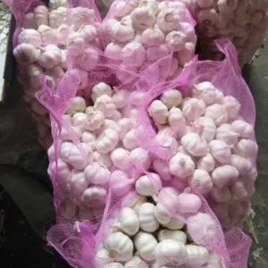 High Quality Fresh Garlic by Impex Trading (Pty)Ltd