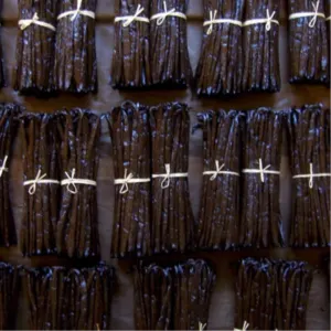 High Quality Vanilla Beans