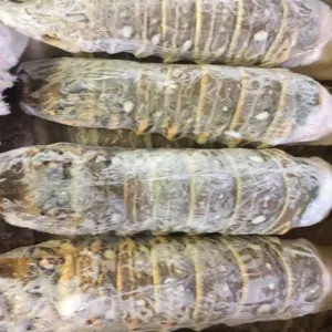 Frozen Lobster / Frozen Lobster Tails / Fresh Live Lobsters