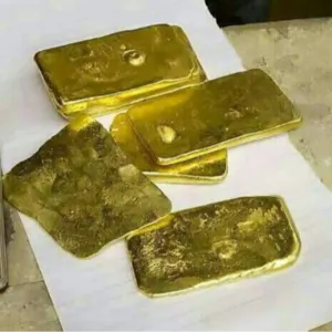 Gold Bars by Nimo Precious Service