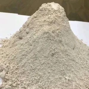 Bleaching Earth by Balaji Corporate